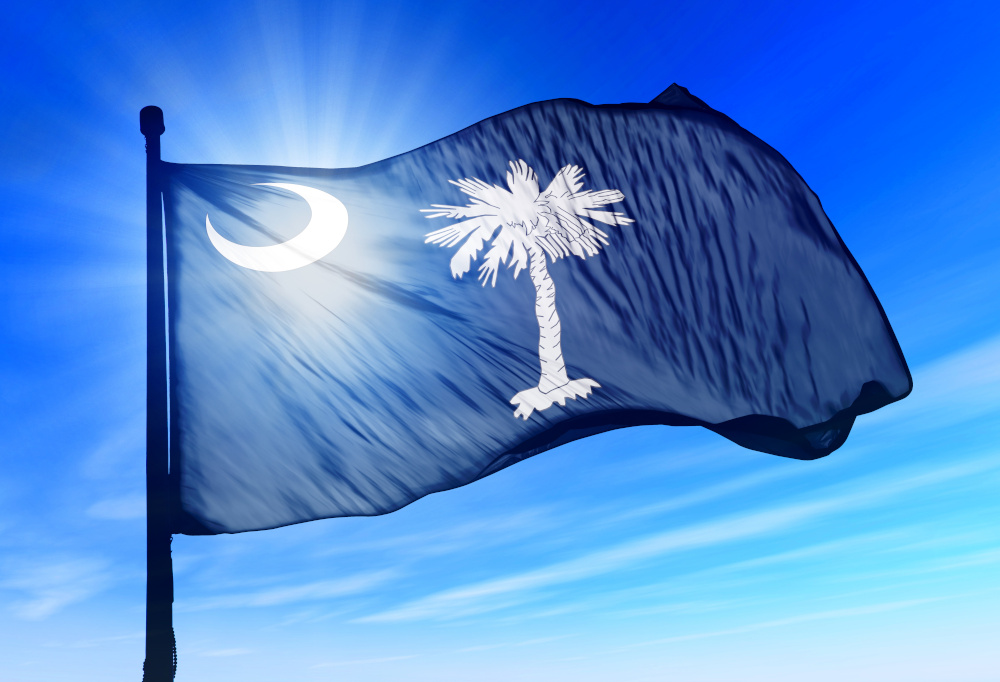 South Carolina state flag in front of the sun