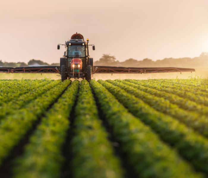 Tractor driving down a row of crops 