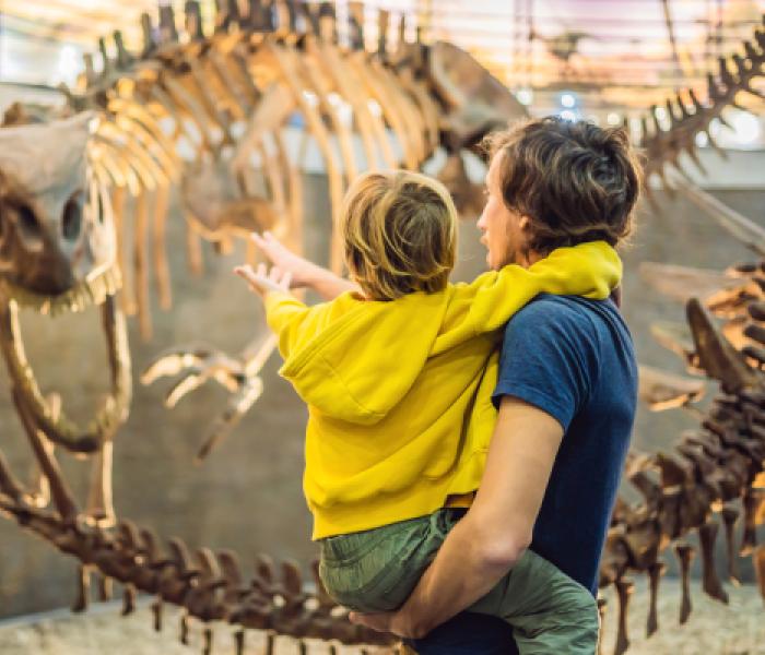 child at museum with dinosaur fossils