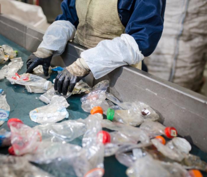 Plastic bottles being sorted at recycling facility image